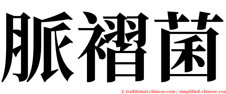脈褶菌 serif font