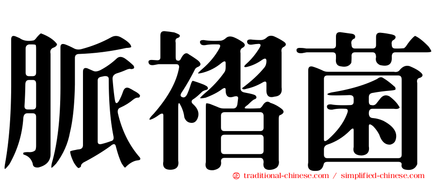 脈褶菌