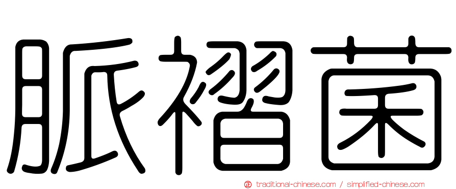 脈褶菌