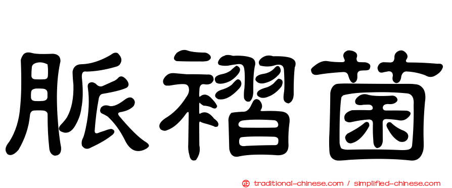 脈褶菌