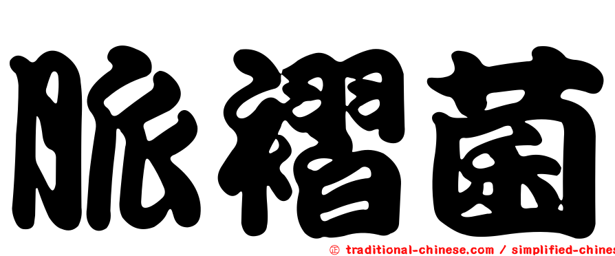 脈褶菌