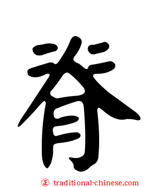 脊