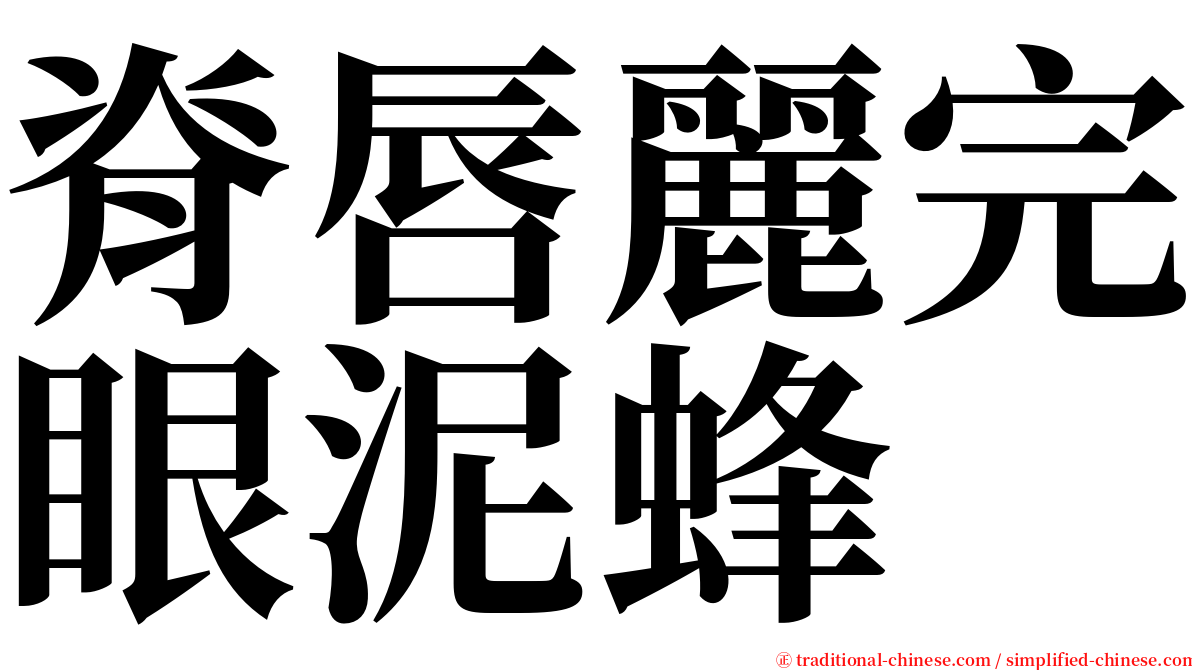 脊唇麗完眼泥蜂 serif font