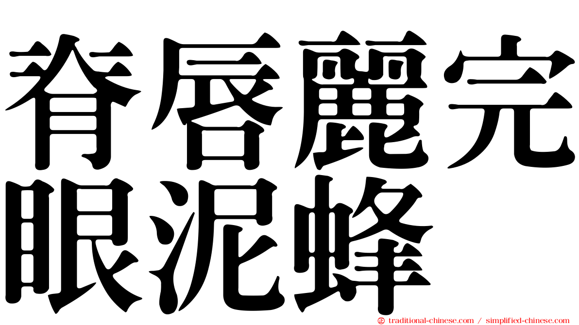 脊唇麗完眼泥蜂