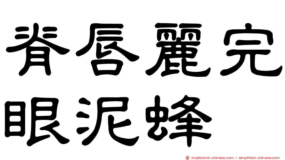 脊唇麗完眼泥蜂