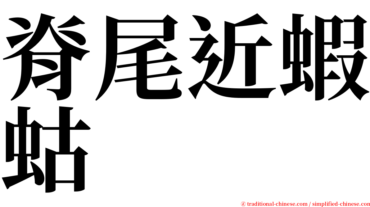 脊尾近蝦蛄 serif font