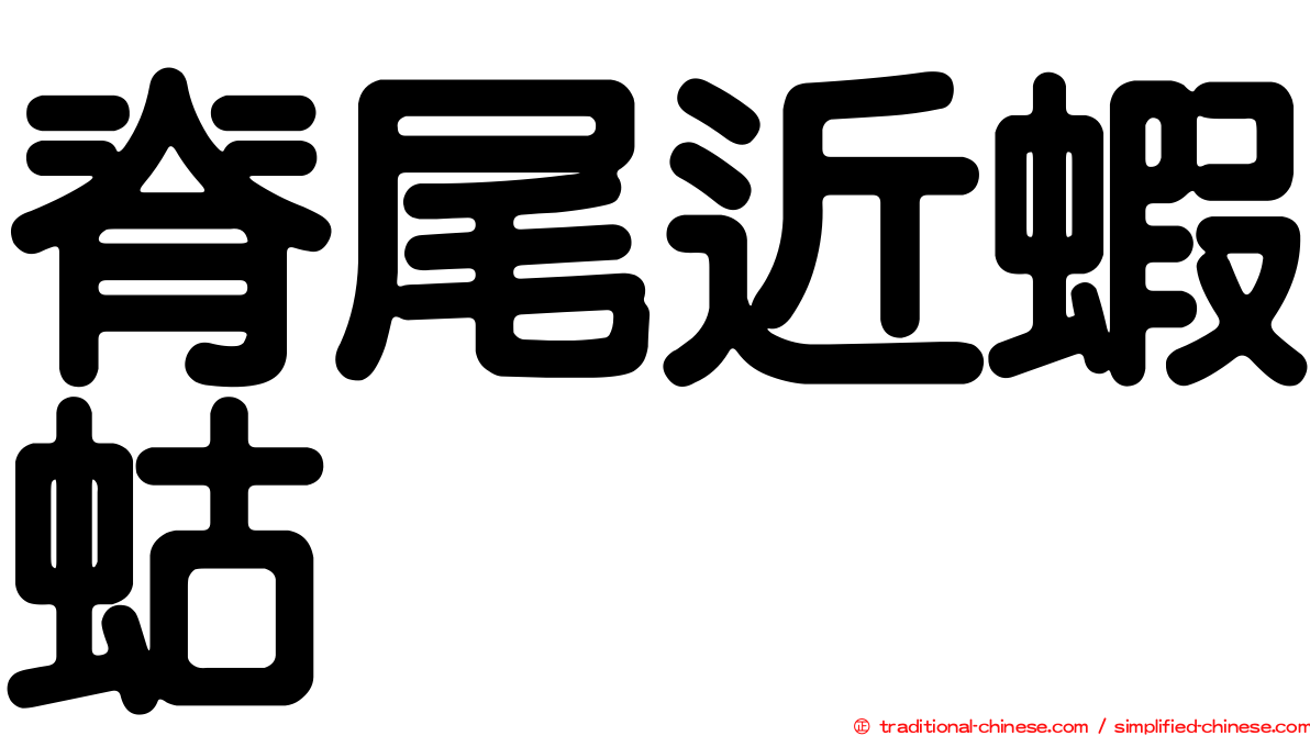 脊尾近蝦蛄