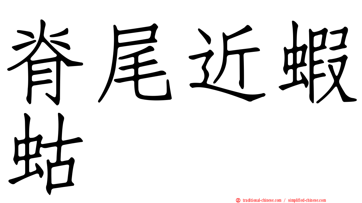 脊尾近蝦蛄