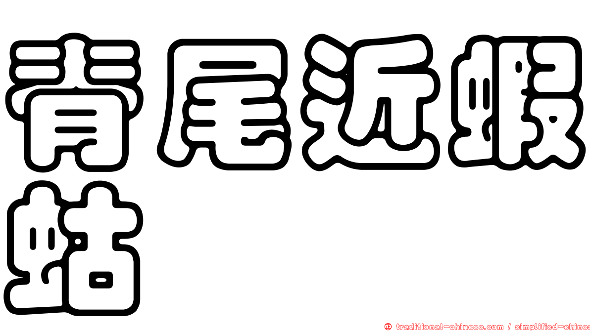 脊尾近蝦蛄