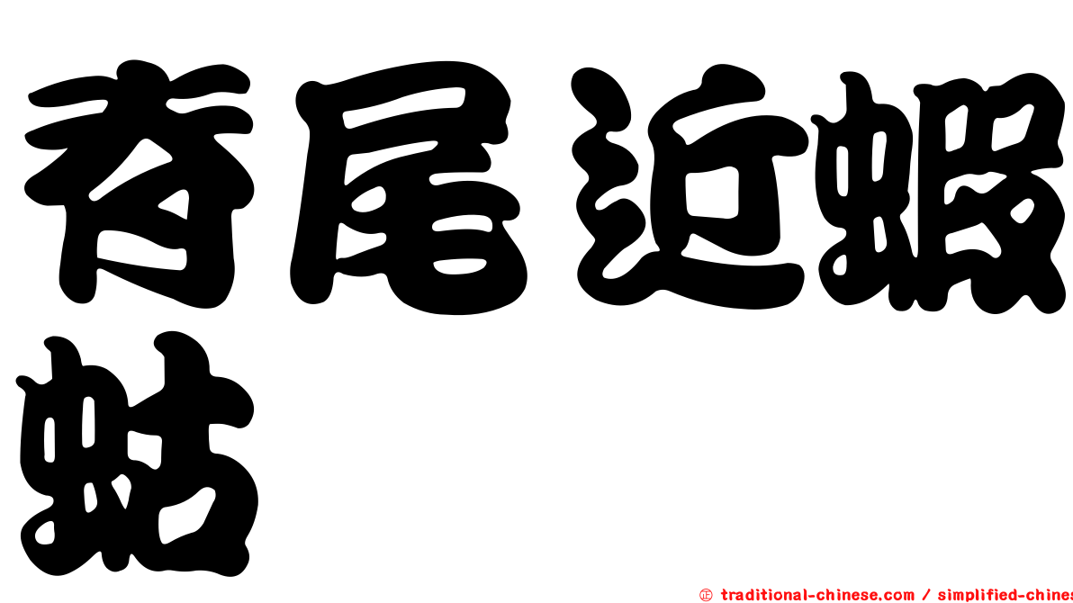脊尾近蝦蛄