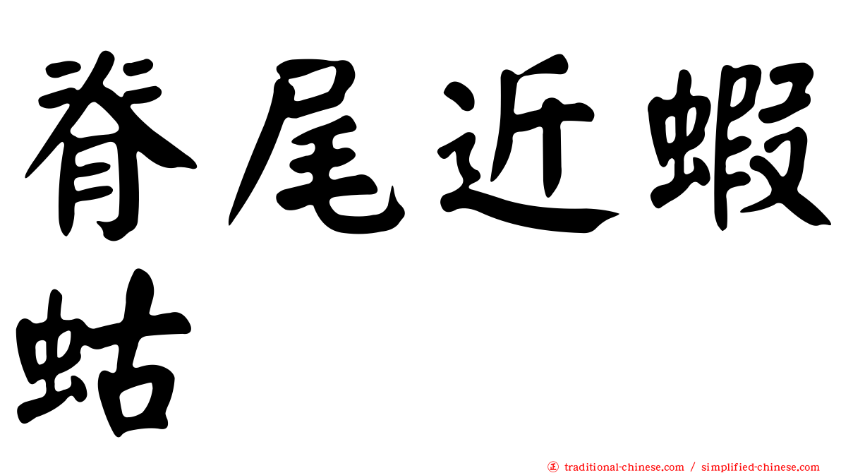 脊尾近蝦蛄