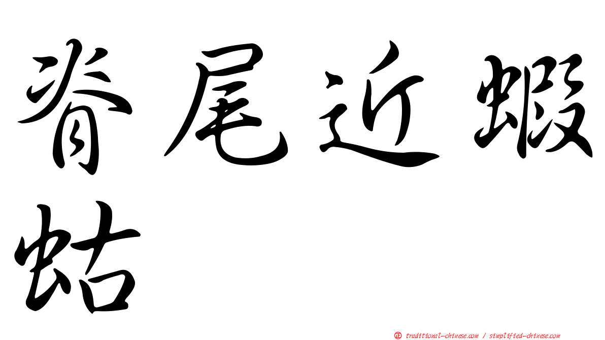 脊尾近蝦蛄