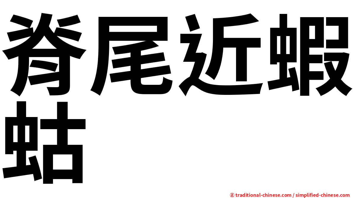 脊尾近蝦蛄