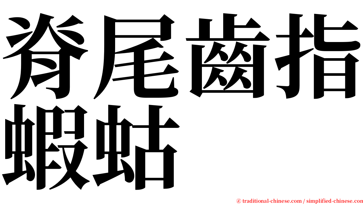 脊尾齒指蝦蛄 serif font