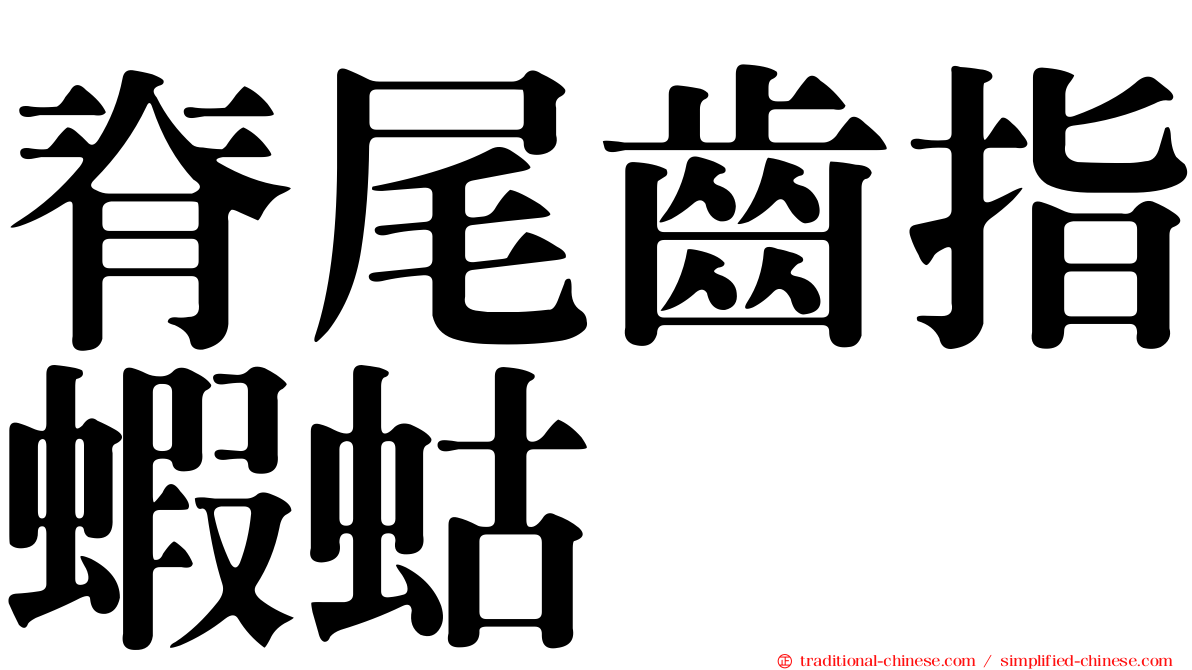 脊尾齒指蝦蛄