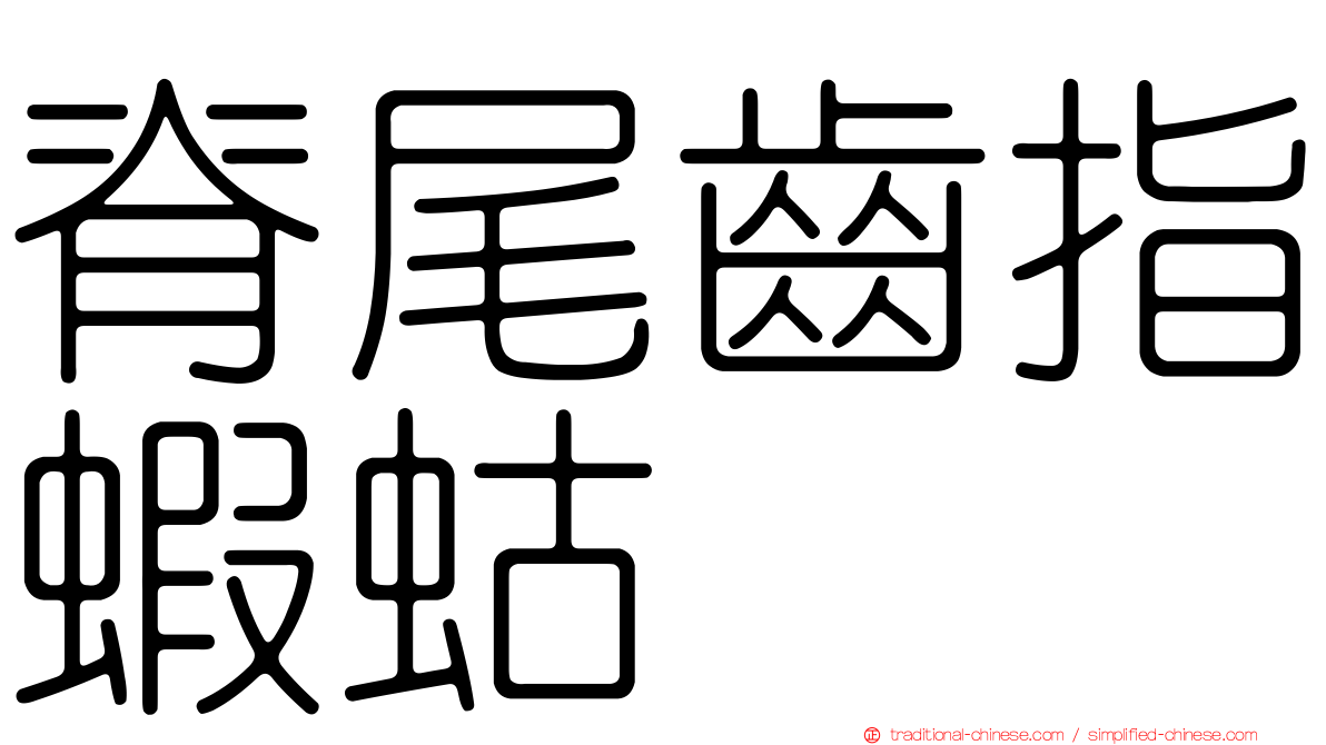 脊尾齒指蝦蛄