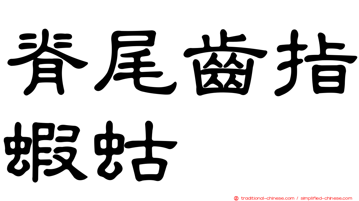 脊尾齒指蝦蛄