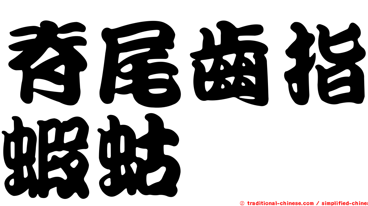 脊尾齒指蝦蛄