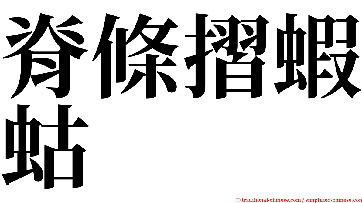 脊條摺蝦蛄 serif font