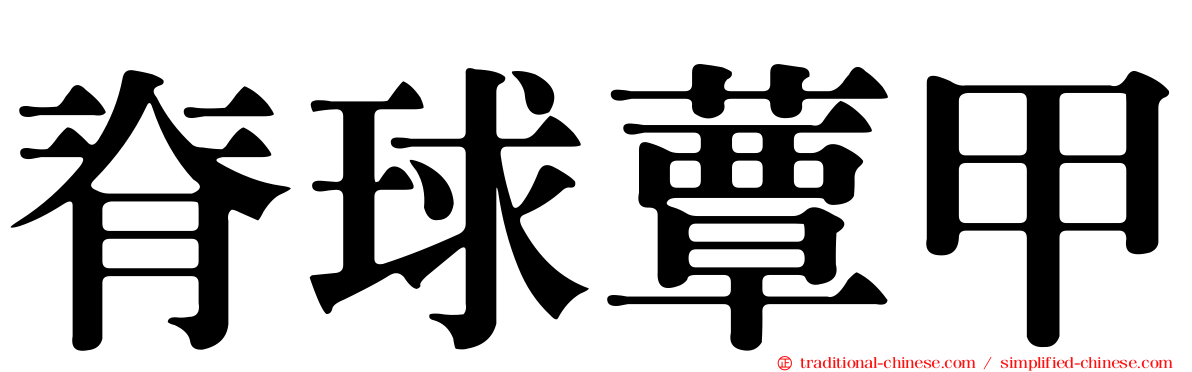 脊球蕈甲