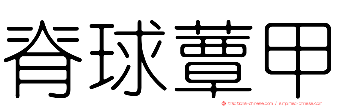 脊球蕈甲