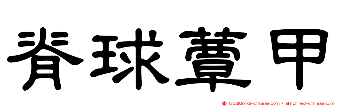 脊球蕈甲