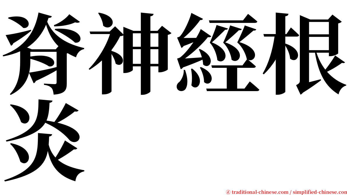 脊神經根炎 serif font