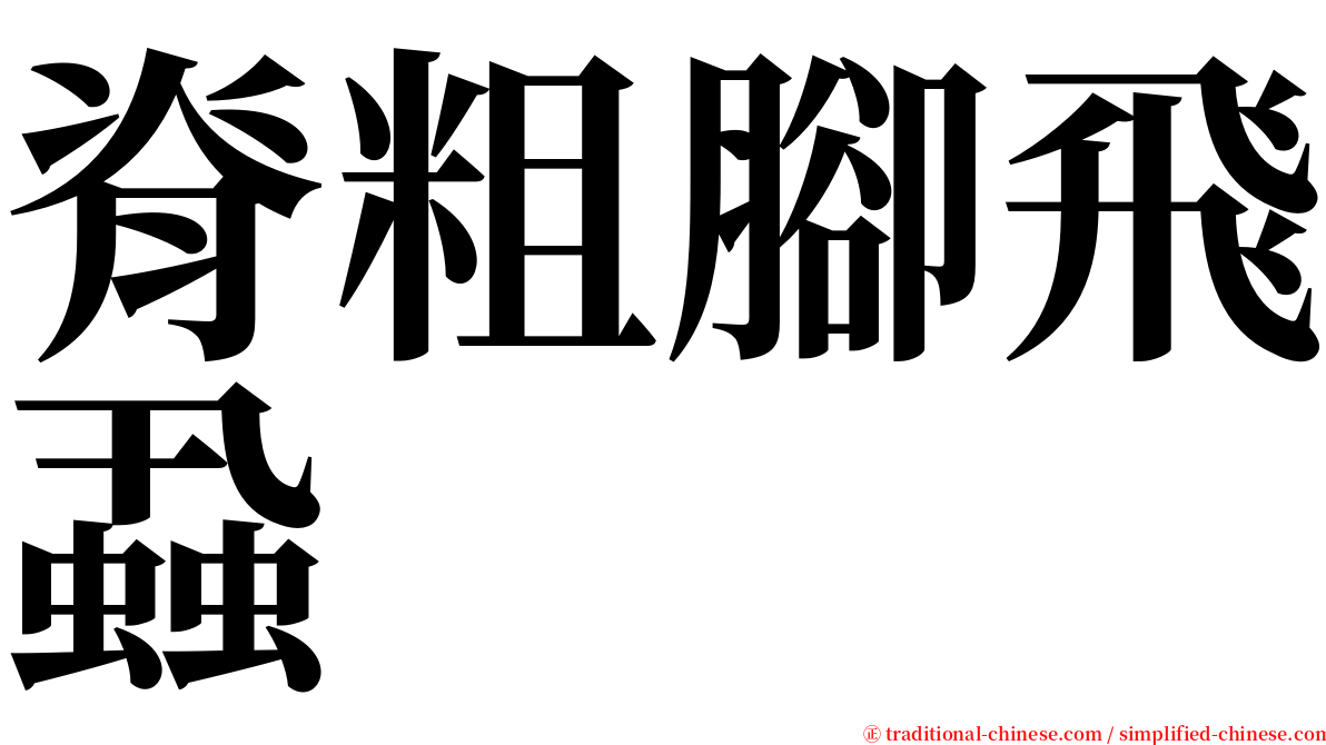 脊粗腳飛蝨 serif font