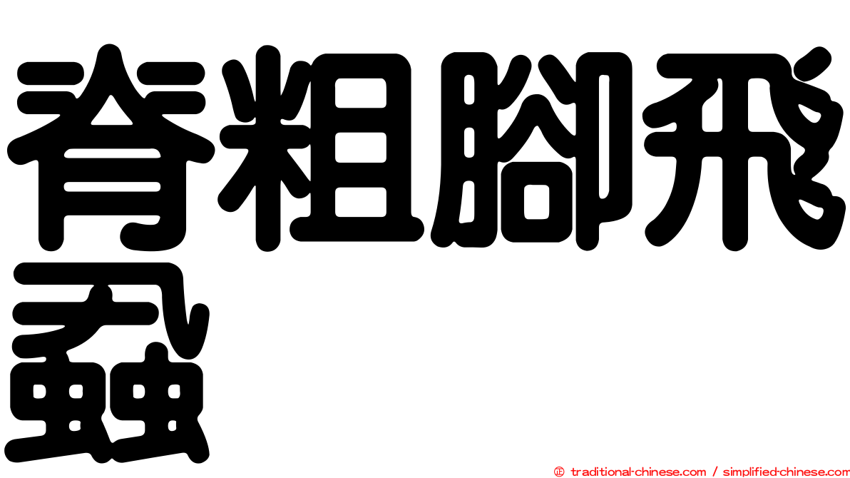 脊粗腳飛蝨