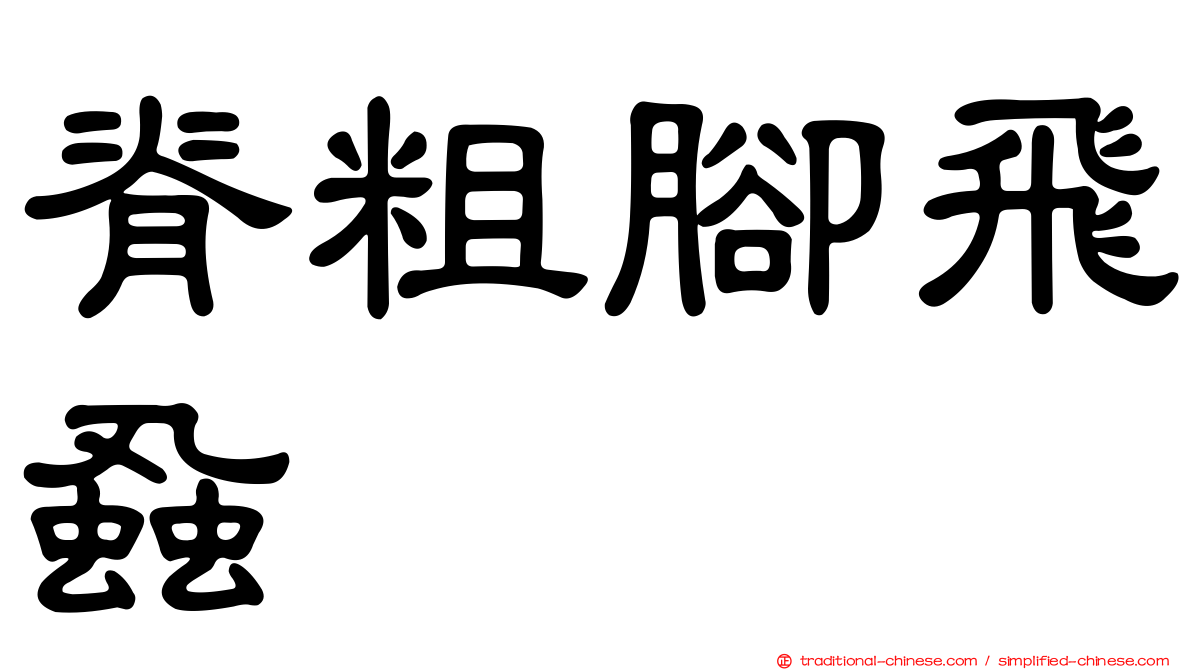 脊粗腳飛蝨