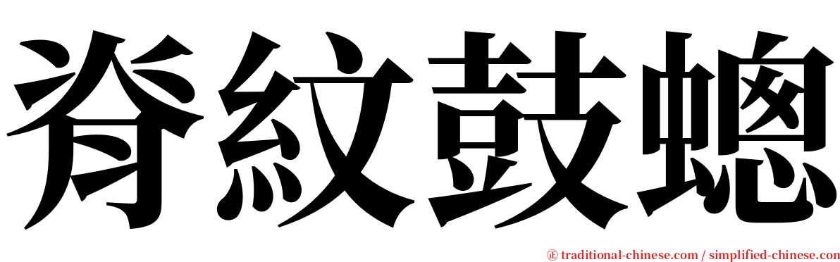 脊紋鼓蟌 serif font