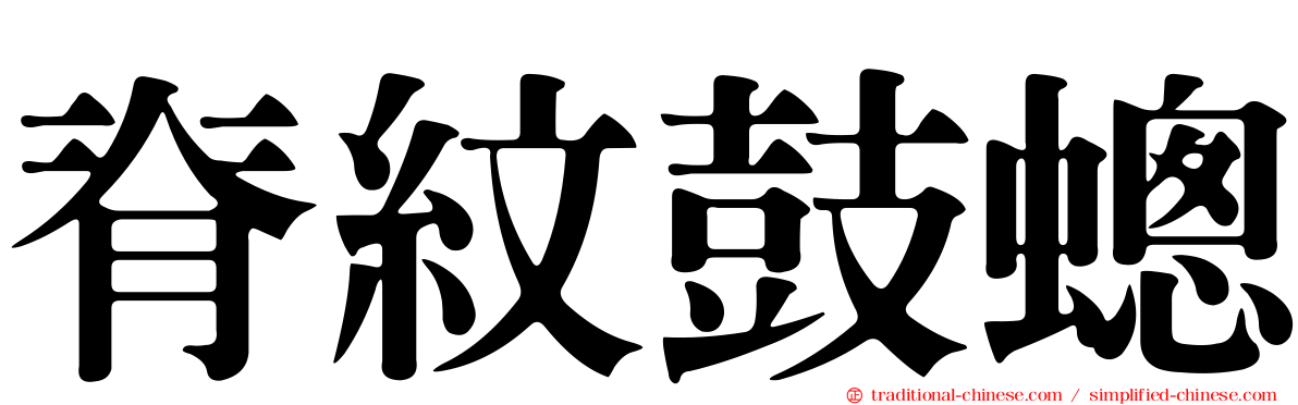脊紋鼓蟌