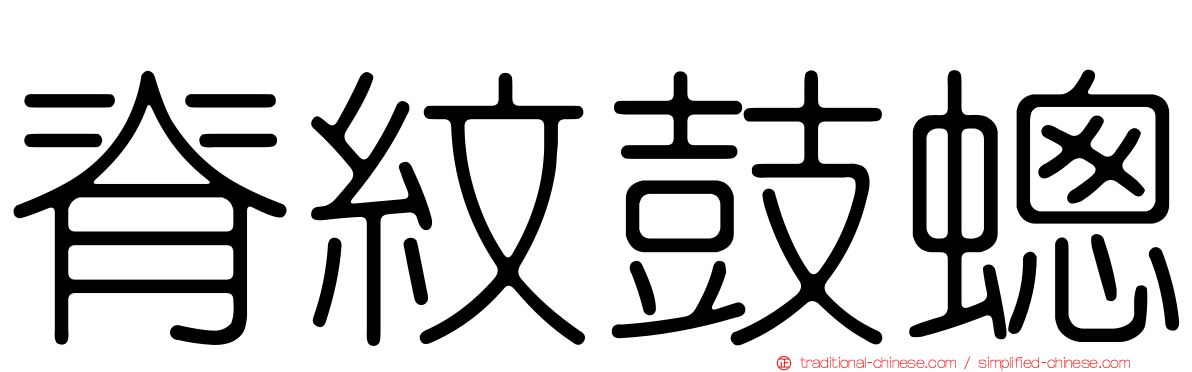 脊紋鼓蟌