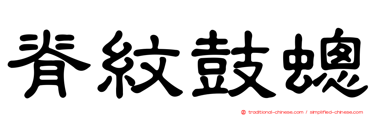 脊紋鼓蟌