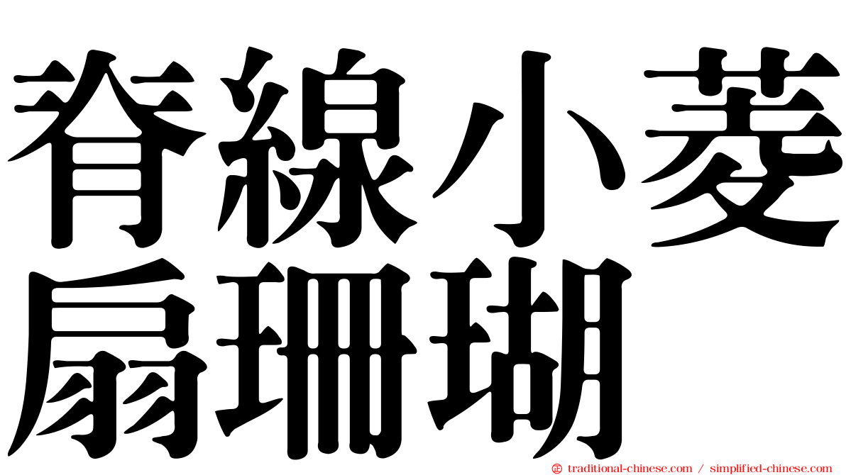 脊線小菱扇珊瑚