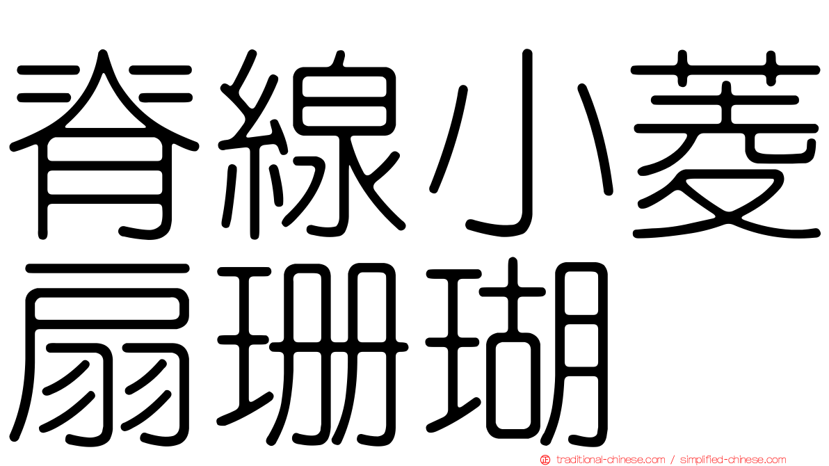 脊線小菱扇珊瑚