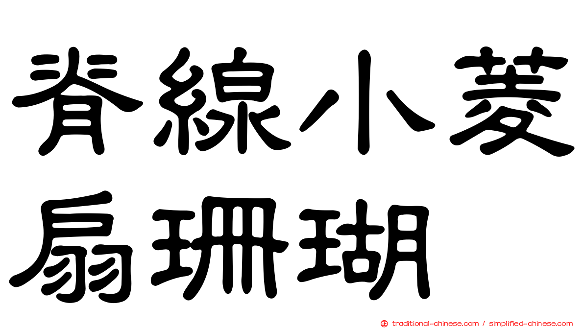 脊線小菱扇珊瑚