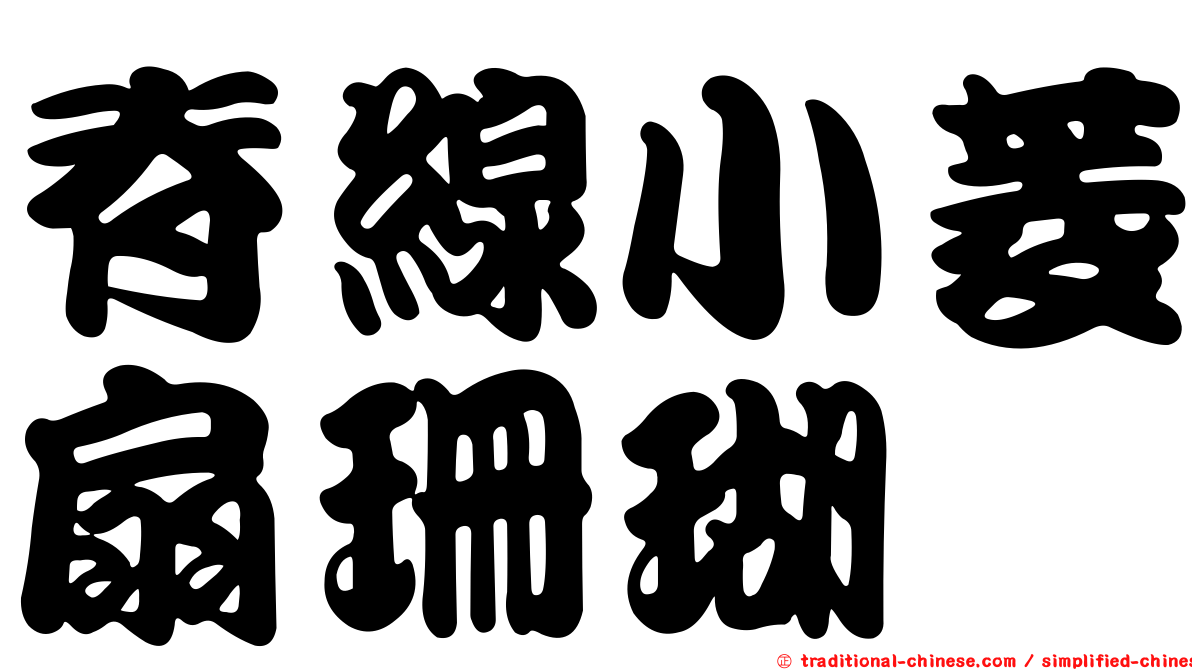 脊線小菱扇珊瑚