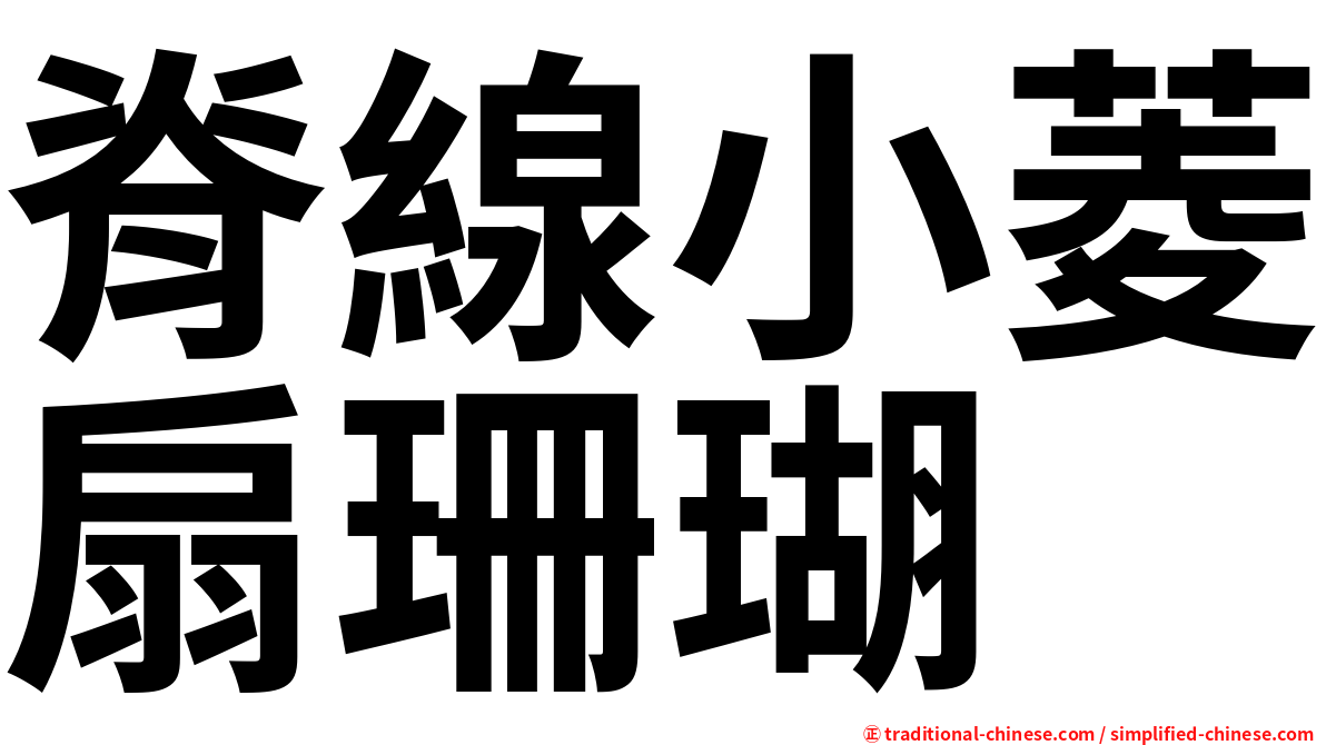 脊線小菱扇珊瑚