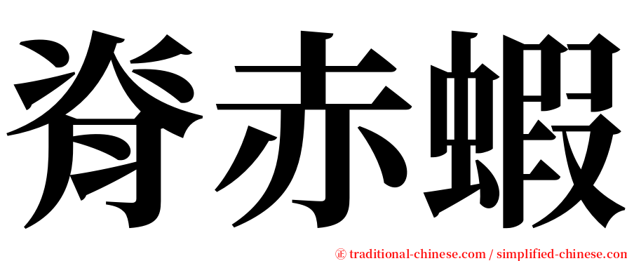 脊赤蝦 serif font