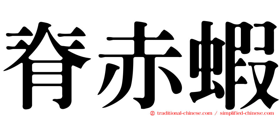 脊赤蝦