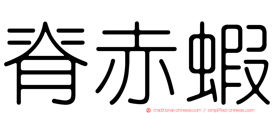 脊赤蝦