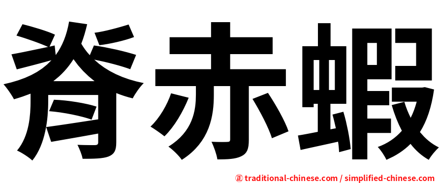 脊赤蝦