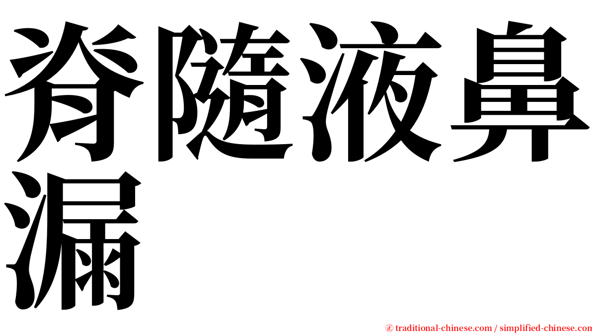 脊隨液鼻漏 serif font
