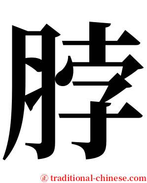 脖 serif font