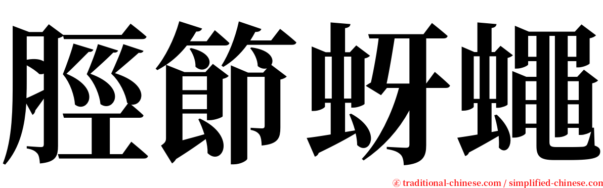 脛節蚜蠅 serif font