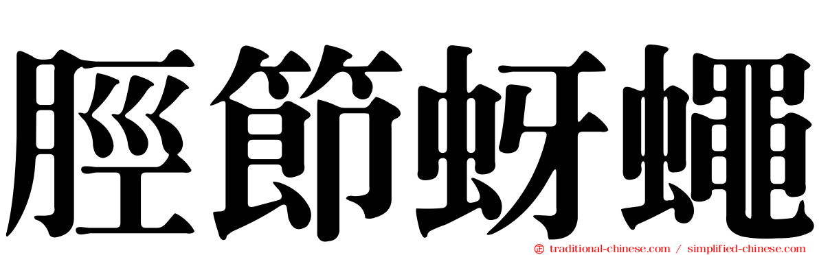 脛節蚜蠅