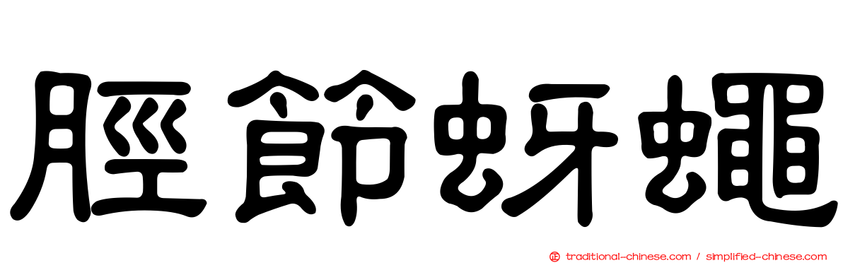 脛節蚜蠅