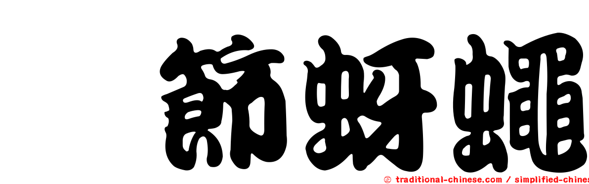 脛節蚜蠅