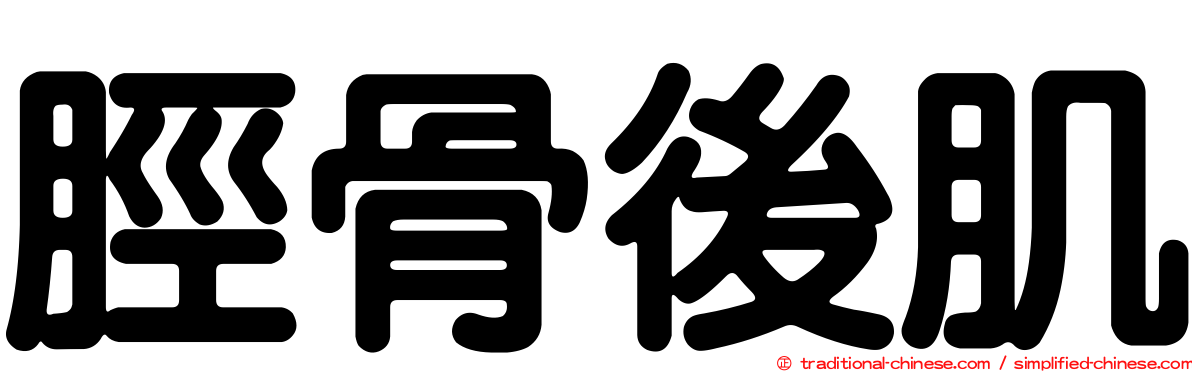脛骨後肌